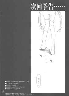 (C76) [Girigiri Nijiiro (Kamino Ryu-ya)] Nanoda!!!! (Hayate no Gotoku!) - page 33
