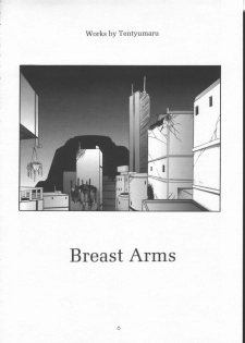 [Tenzan Factory] Breast Arms - page 4