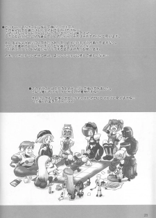 (C65) [Beni-ya (Kurenai Yuuki)] PSO CRIMSON ver.4.0 (Phantasy Star Online) - page 27