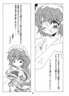 (C57)[SXS (Hibiki Seiya, Ruen Roga, Takatoki Tenmaru)] DARKSTAR (Various) - page 25