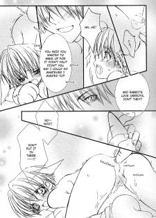 (Shotaket 9) [xxlazuli (Yoshino Azuma)] Ninjin Daisuki Usagi-tan | The Rabbit Who Loves Carrots [English] [DokiDoki] - page 13