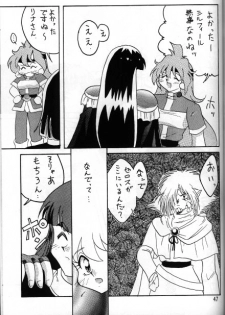 [Ginmomodou (Mita Satomi)] Slayers Adult 5 (Slayers) - page 45