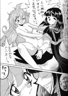 [Ginmomodou (Mita Satomi)] Slayers Adult 5 (Slayers) - page 11