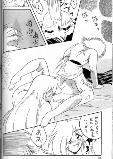 [Ginmomodou (Mita Satomi)] Slayers Adult 5 (Slayers) - page 28