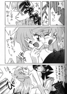 [Ginmomodou (Mita Satomi)] Slayers Adult 5 (Slayers) - page 13