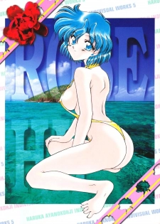 (C52) [Rose Water (Haruka Ayanokouji)] Rose Water 5 Rose Hip (Bishoujo Senshi Sailor Moon) - page 1