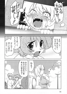 (COMITIA 86) [Nazonokai (Mitamori Tatsuya)] Gokinjo no Monster - page 13