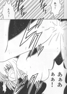 (C59) [Crimson Comics (Carmine)] Etsuraku no Hikari - page 18