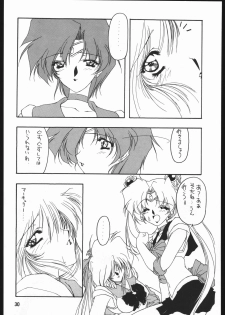 [Sailor Moon] Seirei Yakyoku Jyoukan Rosenfeld 4 (Chimeishou) - page 31