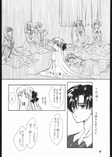 [Sailor Moon] Seirei Yakyoku Chokan Rosenfeld 5 (Chimeishou) - page 39