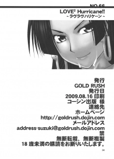 (C76) [GOLD RUSH (Suzuki Address)] Love² Hurricane!! (One Piece) - page 32