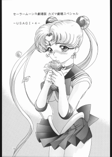 [Shounen Yuuichirou (Various)] Gekijouban SPECIAL (Bishoujo Senshi Sailor Moon R) - page 14