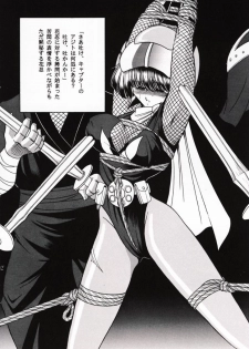 [Circle Taihei-Tengoku (Horikawa Gorou)] Kanin Bugei Chou (Ninja Capture) - page 11