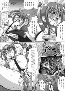 [aka dama tenpo] beni no sho (Mahou Shoujo Lyrical Nanoha) - page 11