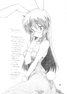 (C76) [Maruarai (Arai Kazuki)] Kyou wa Nichiyoubi (Hayate the Combat Butler) - page 15