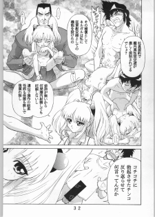 [Nadesico] Anime Bros Coteri Magazine 2 - Nadefune (Anime Brothers) - page 31