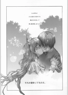 [ESSENTIA (Fujima Takuya)] click! (Chobits) - page 36