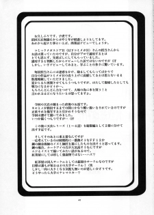 [Kouchaya (Ootsuka Kotora)] Tenimuhou Gaiden (Street Fighter) - page 17