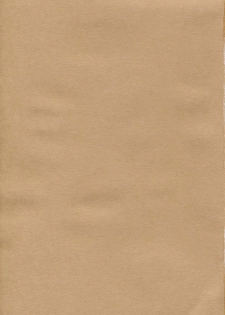 [Kouchaya (Ootsuka Kotora)] Tenimuhou Gaiden (Street Fighter) - page 2