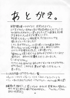 (C66) [Sangenshokudou (Chikasato Michiru)] CAMMY BON (Street Fighter) - page 28