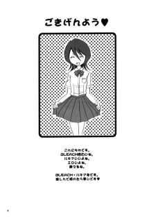 (CR31) [NIKOPONDO (Aoyama Reo)] GRATEFUL DEAD (BLEACH) - page 3
