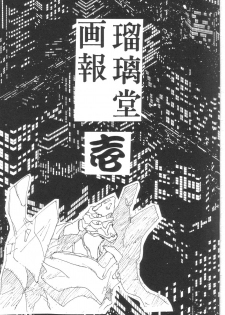 [UA Daisakusen (Harada Shoutarou)] Ruridou Gahou 1 (Magic Knight Rayearth) - page 2