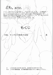 [INU-TV (Izumi)] AngelicXXX (Angelic Layer) - page 3