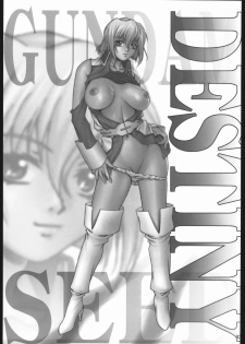 (C67) [Ruki Ruki EXISS (Fumizuki Misoka)] Tane no Hozon ... (Gundam SEED DESTINY) - page 2