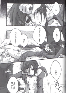 (C70) [Alkaloid (Tokitsukaze Otoha)] Beautiful Dreamer (Blood+) - page 12