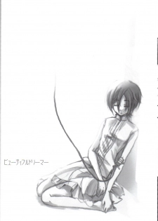 (C70) [Alkaloid (Tokitsukaze Otoha)] Beautiful Dreamer (Blood+) - page 20