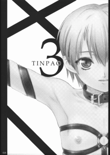 [The Knight of the Pants(Pantsu Kishidan)] Tinpao 3 - page 2
