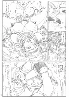 (C72) [Ruku-Pusyu (Orihata)] Queen's Spindle (Queen's Blade) - page 13