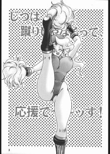 [Street Fighter] Nousatsu Sentai Blonde Antennas 2 - Yellow Alert (Sunset Dreamer) - page 2