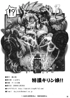 [Urakaryuu] Tokunou Kirin Musume!! (Monster Hunter) - page 17