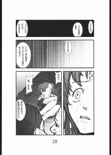 [Zettai Kanzen Rippoutai] Bouryoku Herushi-bobu (Gundam Seed Destiny) - page 27