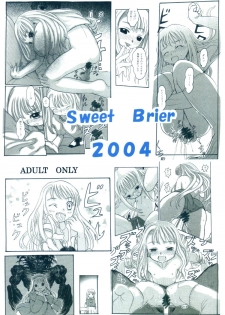 [Sweet Brier] Fate Stay Night Fan Book Vol. 1 ( Fate/stay night) - page 26