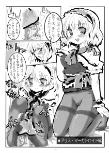 (C76) [Denpa Tai (Magical Sanoji, Hizuki Ryou)] Domination Magic (Touhou Project) - page 2