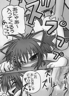 (C76) [Hitoyasumi (Ikkyuu)] HITOYASUMIX 9 - page 14