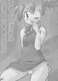 [Ukkaridou (Shimazu Isami)] Yume no Tsubomi wa Tsubomi no Mama dakedo (Pokémon) - page 2