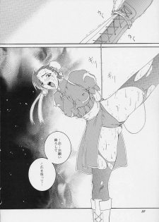(C61) [F-A] Haru VS 2 (Street Fighter) - page 21