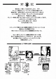 (CR28) [Megaplus (Okano Ahiru)] Shaman Queen (Shaman King) - page 3
