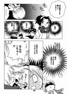 (CR28) [Megaplus (Okano Ahiru)] Shaman Queen (Shaman King) - page 25