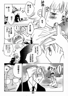 (CR28) [Megaplus (Okano Ahiru)] Shaman Queen (Shaman King) - page 23