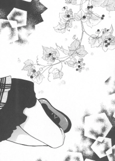 (SC9) [TAIRIKUDOUMEIGUN (Kiryuu Chihaya)] Koi no Yamai (Sister Princess) - page 3