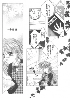 (SC9) [TAIRIKUDOUMEIGUN (Kiryuu Chihaya)] Koi no Yamai (Sister Princess) - page 7