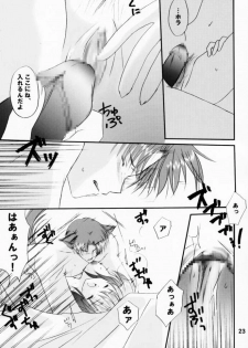 (CR29) [LoveLess (Yuuka Sawatari)] Renai no Kyoukun V (Sister Princess) - page 22