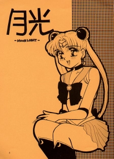 Moonlight (Bishoujo Senshi Sailor Moon) - page 2