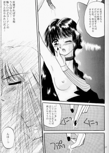 Moonlight (Bishoujo Senshi Sailor Moon) - page 14