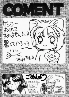 Moonlight (Bishoujo Senshi Sailor Moon) - page 20
