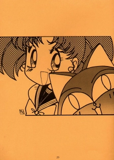Moonlight (Bishoujo Senshi Sailor Moon) - page 22